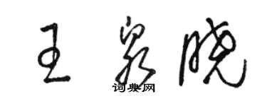 駱恆光王泉曉草書個性簽名怎么寫