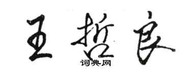 駱恆光王哲良行書個性簽名怎么寫