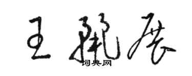 駱恆光王麗展草書個性簽名怎么寫