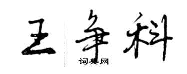 曾慶福王爭科行書個性簽名怎么寫