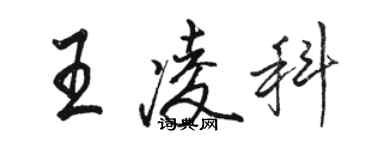 駱恆光王凌科行書個性簽名怎么寫