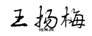 曾慶福王揚梅行書個性簽名怎么寫