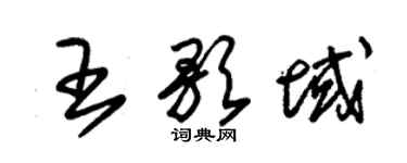 朱錫榮王歌域草書個性簽名怎么寫