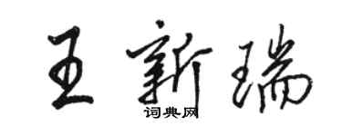 駱恆光王新瑞行書個性簽名怎么寫