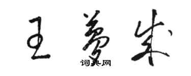 駱恆光王夢成草書個性簽名怎么寫