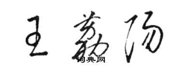 駱恆光王荔陽草書個性簽名怎么寫