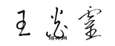 駱恆光王炎靈草書個性簽名怎么寫