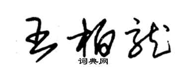 朱錫榮王柏龍草書個性簽名怎么寫