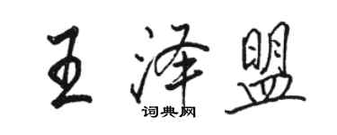 駱恆光王澤盟行書個性簽名怎么寫