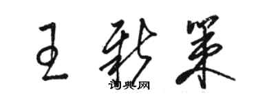 駱恆光王新策草書個性簽名怎么寫