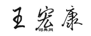 駱恆光王宏康行書個性簽名怎么寫