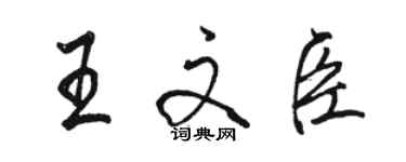 駱恆光王文臣行書個性簽名怎么寫