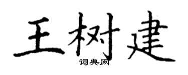 丁謙王樹建楷書個性簽名怎么寫