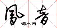 朱錫榮鳳音草書怎么寫