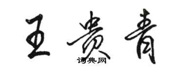 駱恆光王貴青行書個性簽名怎么寫