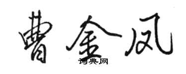 駱恆光曹金鳳行書個性簽名怎么寫