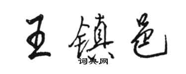 駱恆光王鎮邑行書個性簽名怎么寫