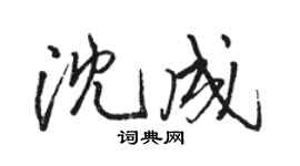 駱恆光沈成行書個性簽名怎么寫