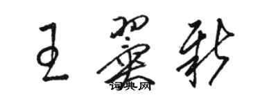 駱恆光王翼新草書個性簽名怎么寫