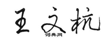 駱恆光王文杭行書個性簽名怎么寫