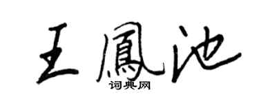 王正良王鳳池行書個性簽名怎么寫