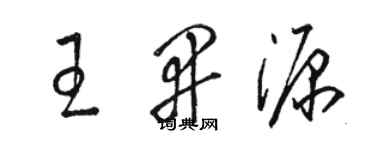 駱恆光王開源草書個性簽名怎么寫