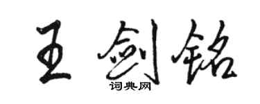 駱恆光王劍銘行書個性簽名怎么寫