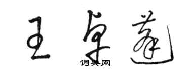 駱恆光王卓蓬草書個性簽名怎么寫