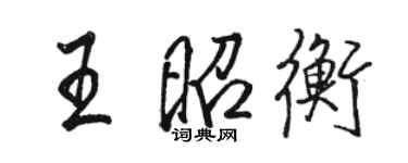 駱恆光王昭衡行書個性簽名怎么寫