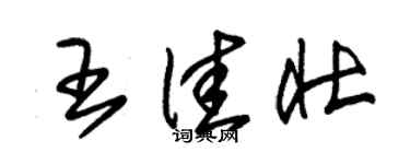 朱錫榮王佳壯草書個性簽名怎么寫