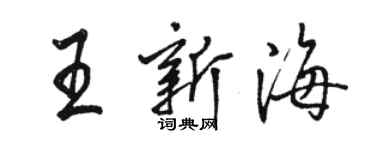 駱恆光王新海行書個性簽名怎么寫
