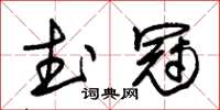 朱錫榮武冠草書怎么寫