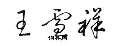 駱恆光王雪祥草書個性簽名怎么寫