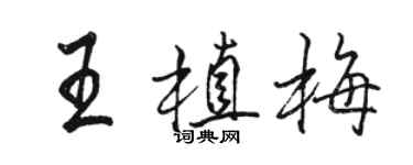 駱恆光王植梅行書個性簽名怎么寫