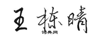 駱恆光王棟晴行書個性簽名怎么寫