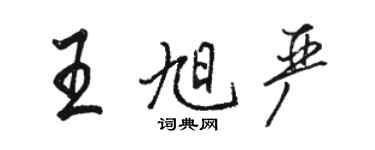 駱恆光王旭嚴行書個性簽名怎么寫