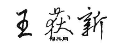 駱恆光王獲新行書個性簽名怎么寫