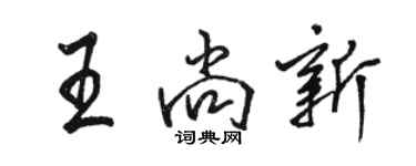 駱恆光王尚新行書個性簽名怎么寫