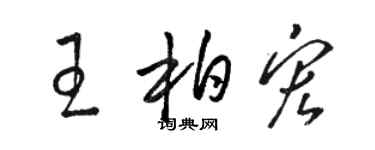 駱恆光王柏宏草書個性簽名怎么寫