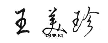 駱恆光王美珍行書個性簽名怎么寫