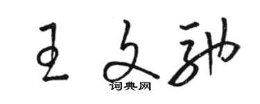 駱恆光王文馳草書個性簽名怎么寫