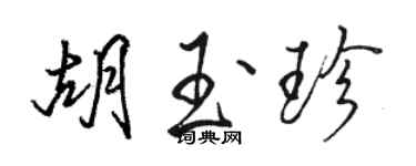 駱恆光胡玉珍行書個性簽名怎么寫