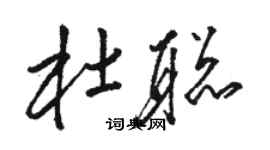 駱恆光杜聰草書個性簽名怎么寫