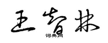 曾慶福王智林草書個性簽名怎么寫