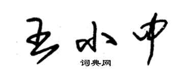 朱錫榮王小中草書個性簽名怎么寫