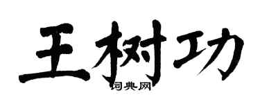 翁闓運王樹功楷書個性簽名怎么寫