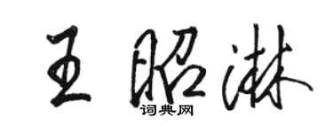 駱恆光王昭淋行書個性簽名怎么寫