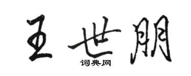 駱恆光王世朋行書個性簽名怎么寫