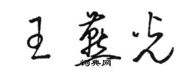 駱恆光王燕光草書個性簽名怎么寫