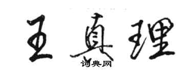 駱恆光王真理行書個性簽名怎么寫